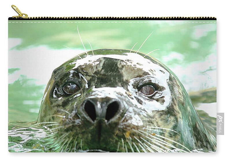 Harbor Seal Zip Pouch featuring the photograph Harbor Seal by Lens Art Photography By Larry Trager