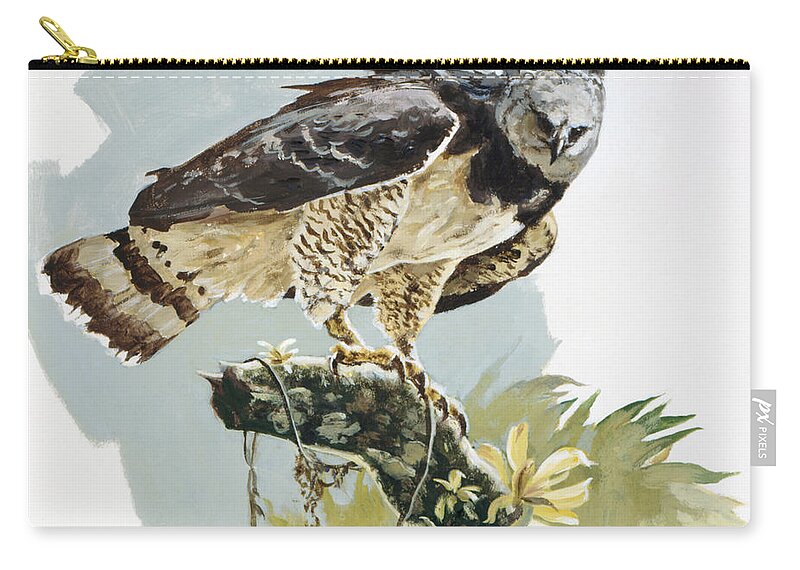 John Swatsley Zip Pouch featuring the painting Harpy Eagle II by John Swatsley