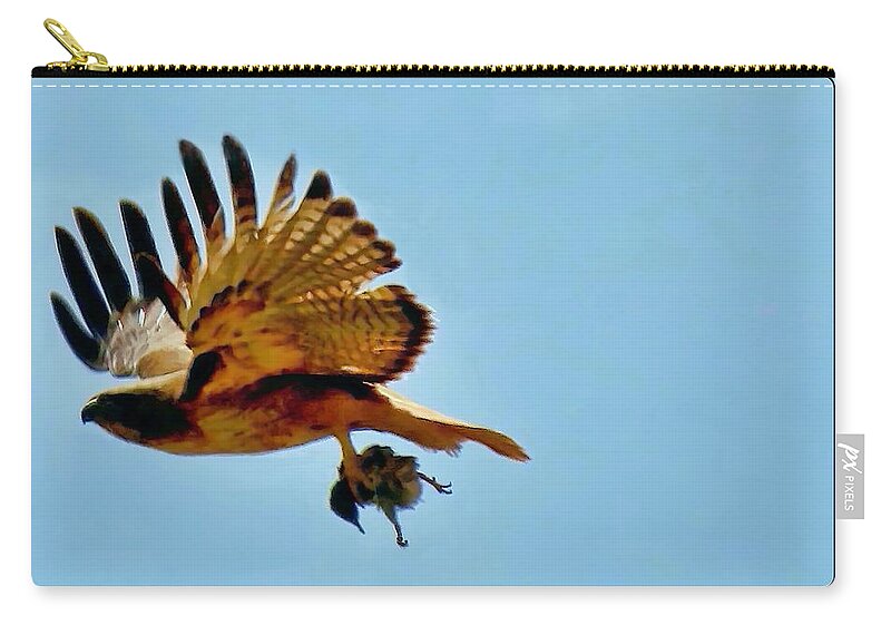 Waywardmuse Zip Pouch featuring the photograph Hawk's Take-Out by Judy Kennedy