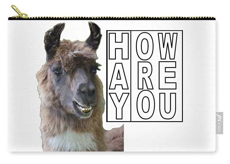 How Are You Zip Pouch featuring the digital art Hay How Are You Llama by Ali Baucom