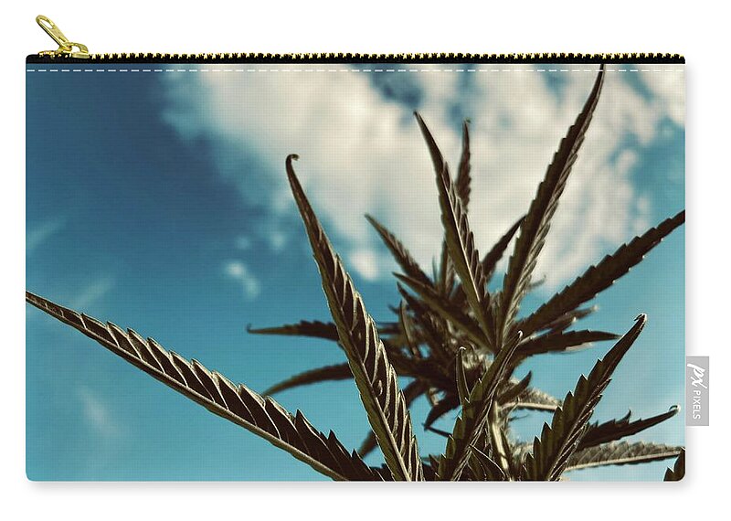 Plant Zip Pouch featuring the photograph Hazy Sky by Toni Hopper