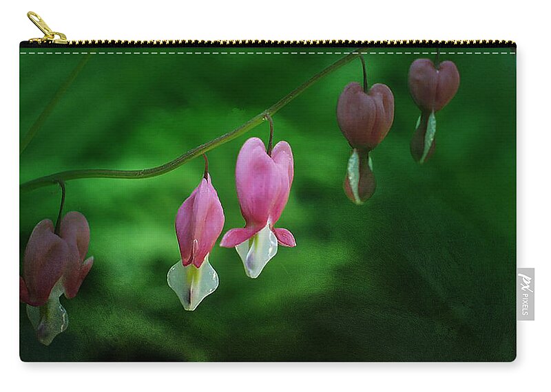Dicentra Carry-all Pouch featuring the photograph Hearts of Spring by Moira Law