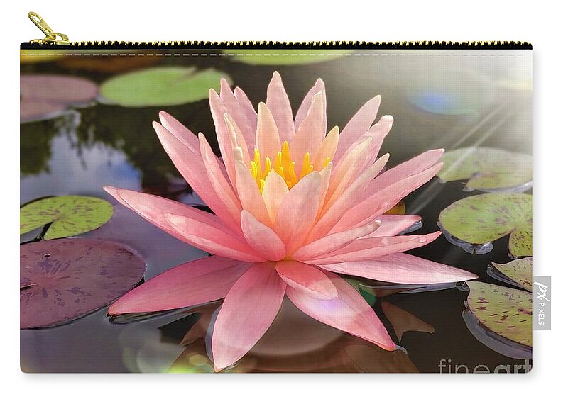 Water Lily Zip Pouch featuring the photograph Heavenly Water Lily by Chad and Stacey Hall