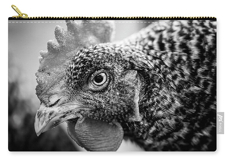  Zip Pouch featuring the photograph Henrietta by Nicole Engstrom