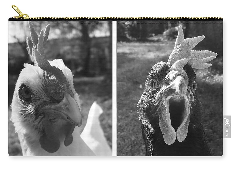 Hello Zip Pouch featuring the photograph Hens Hello by Joelle Philibert