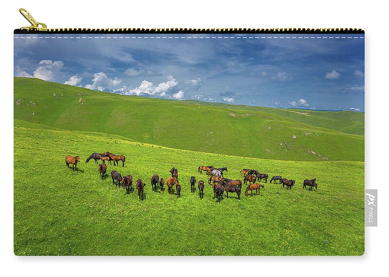 Horse Zip Pouch featuring the photograph Herd Of Horses Grazing On Slope Meadow by Mikhail Kokhanchikov