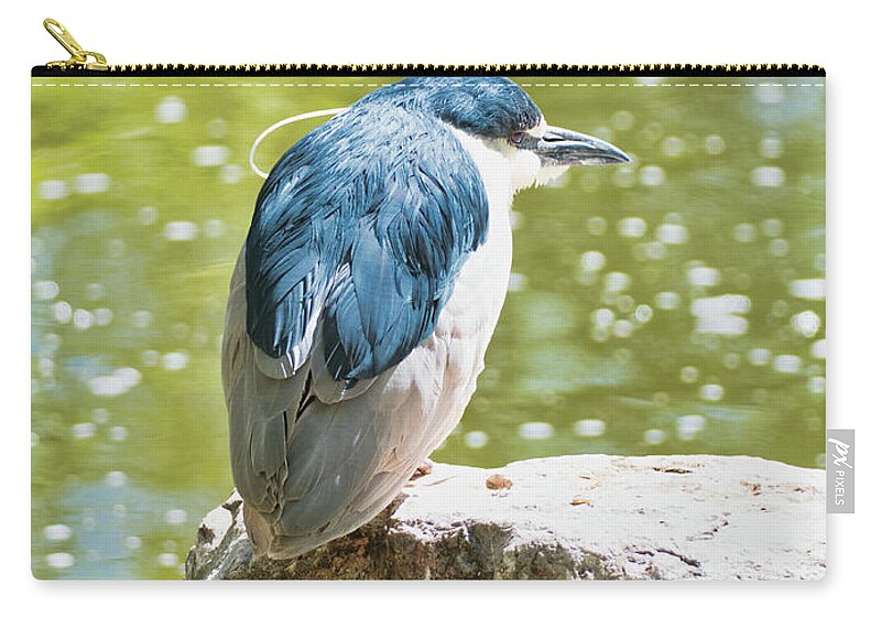 Animals Zip Pouch featuring the photograph Heron by Segura Shaw Photography