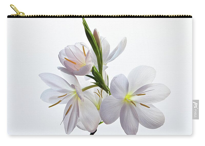 Lily Zip Pouch featuring the photograph Hesperantha Coccinea by Terence Davis