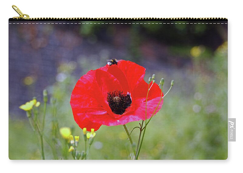 Wirral Zip Pouch featuring the photograph HESWALL. Wirral Country Park. Poppy In The Grass. by Lachlan Main