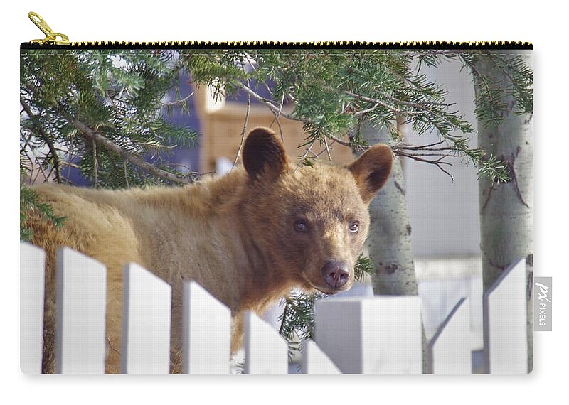 Bear Zip Pouch featuring the photograph Hey Neighbor by Matt Helm