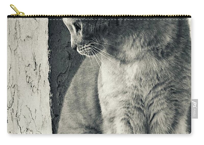 Cat Carry-all Pouch featuring the digital art Hi Noon by Michelle Hoffmann