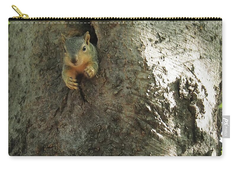 Squirrel Zip Pouch featuring the photograph Hi There by C Winslow Shafer