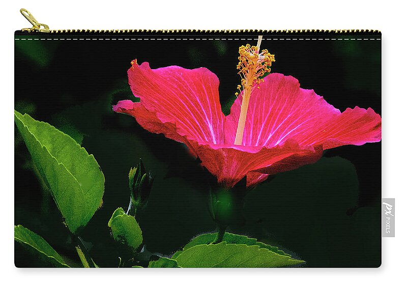 Hibiscus Zip Pouch featuring the photograph Hibiscus After The Rain by Don Durfee