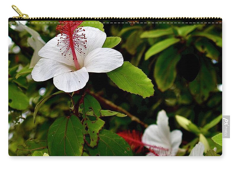 Square Zip Pouch featuring the photograph Hibiscus and Honey Bee by Gary F Richards