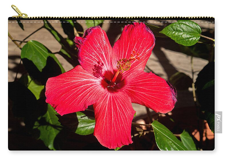 Flower Zip Pouch featuring the photograph Hibiscus Blossom by Ivars Vilums