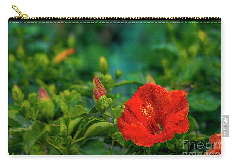 Hibiscus; Flower; Flora; Leaf; Leaves; Bud Zip Pouch featuring the photograph Hibiscus in Bloom by Shelia Hunt