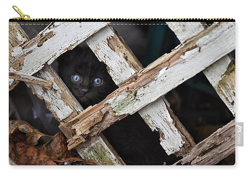 Cat Zip Pouch featuring the photograph Hidden by DArcy Evans