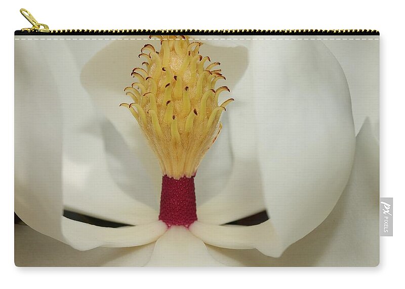 Magnolia Flower Carry-all Pouch featuring the photograph Hidden Wonder 2 by Mingming Jiang