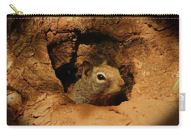 Squirrel Zip Pouch featuring the photograph Hideaway by Carl Moore