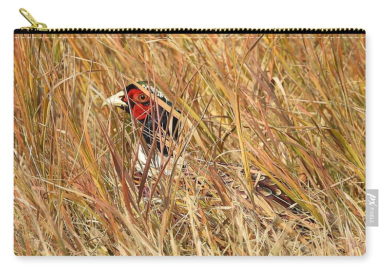 Ring Necked Pheasant Zip Pouch featuring the photograph Hiding in the Grass by Amanda R Wright