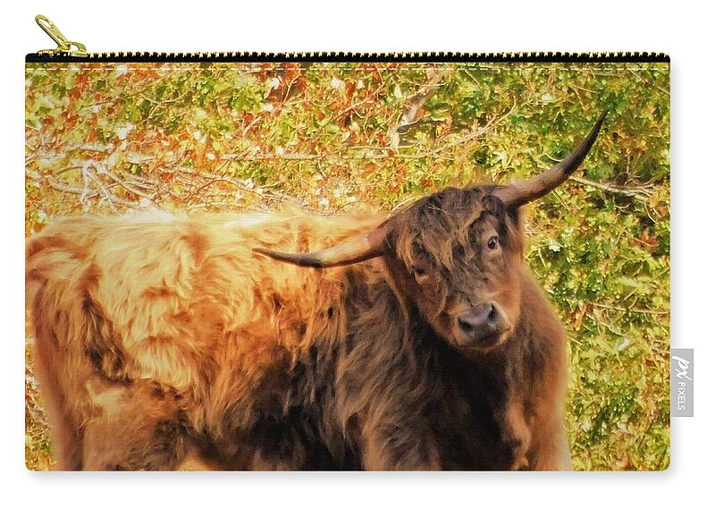 - Highland Cows In Nh Zip Pouch featuring the photograph - Highland Cows In NH by THERESA Nye