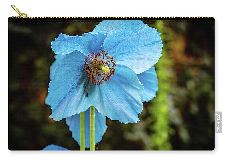 Blue Zip Pouch featuring the photograph Himalayan Blue Poppy by Louis Dallara
