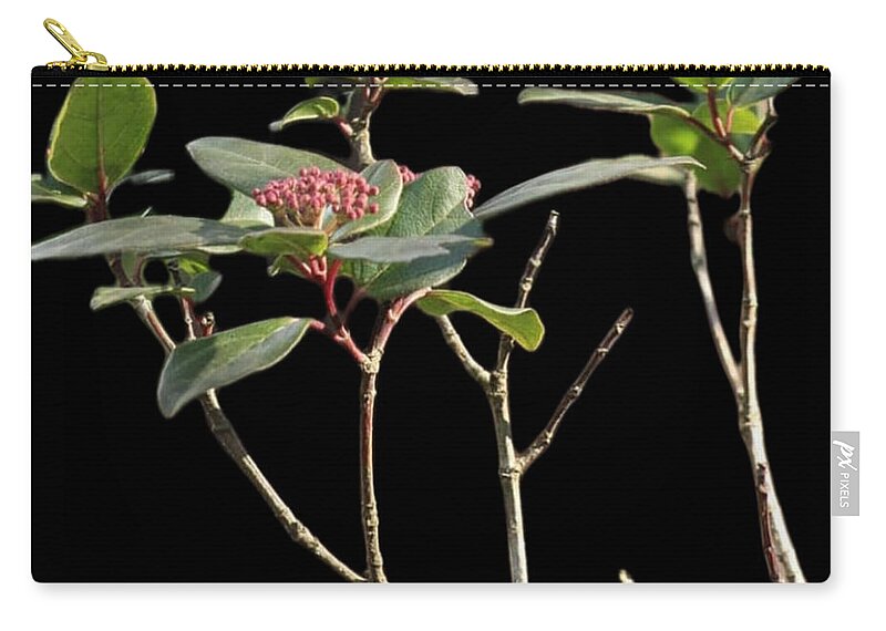 Nature Zip Pouch featuring the photograph Hivern 2 by Auranatura Art