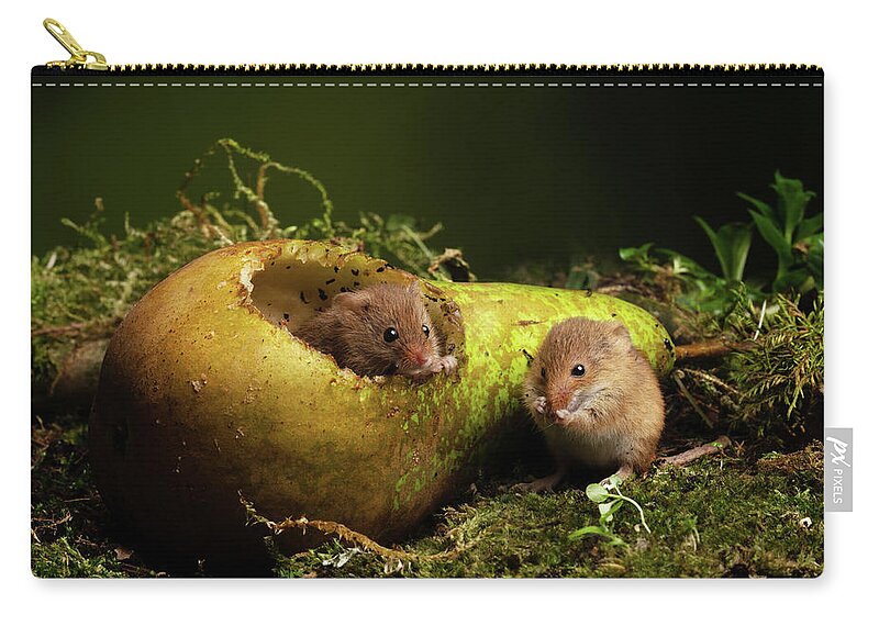 Harvest Zip Pouch featuring the photograph Hm-02915 by Miles Herbert