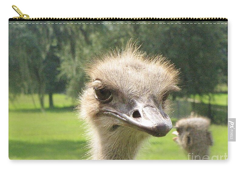 African Flightless Bird Zip Pouch featuring the photograph Hmmm by World Reflections By Sharon