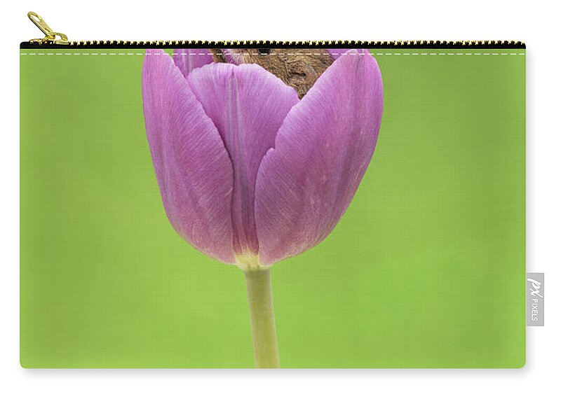 Harvest Zip Pouch featuring the photograph HMTulips-7567 by Miles Herbert