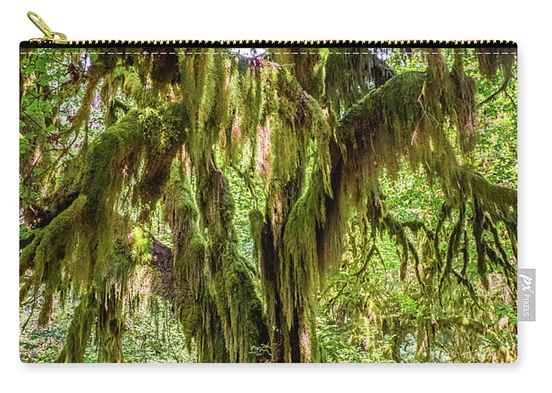 Washington Carry-all Pouch featuring the photograph Hoh Forest #3 by Alberto Zanoni