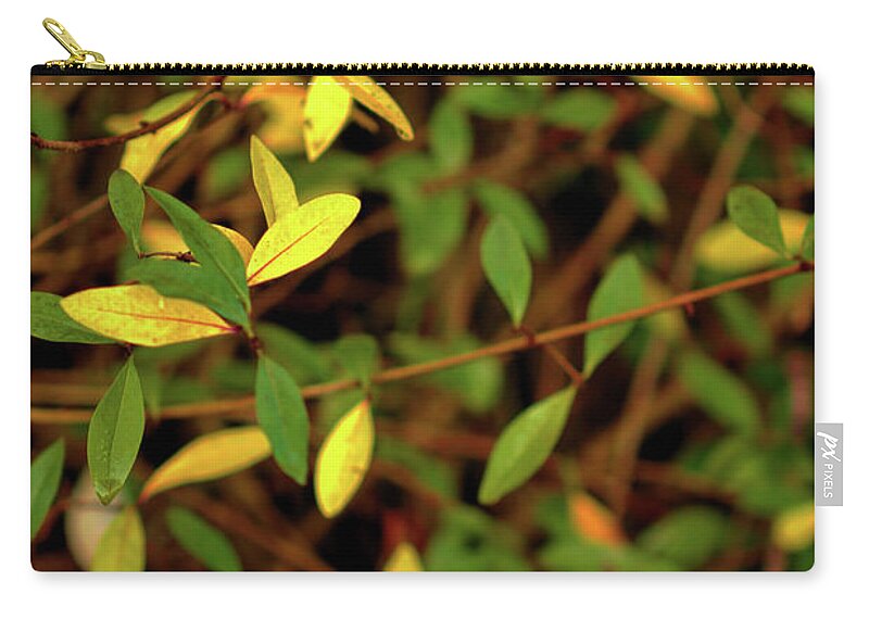 Nature Zip Pouch featuring the photograph Holding on to Summer by Stephen Melia