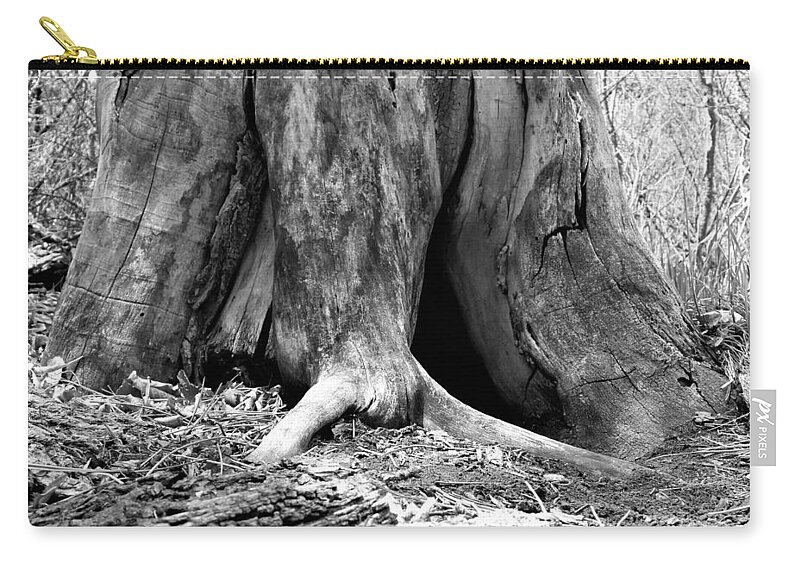 Tree Zip Pouch featuring the photograph Hollow Tree Trunk in Black and White by Amanda R Wright