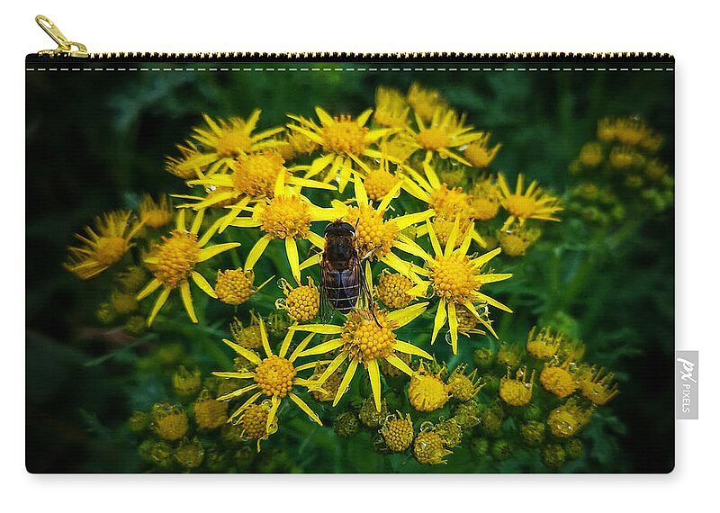 Yellow Flowers Zip Pouch featuring the photograph Honey Bee on Ragworth by Mark Callanan