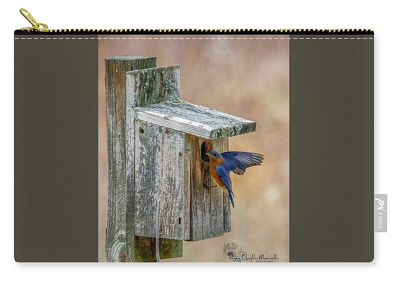 Bluebird Zip Pouch featuring the photograph Honey I'm Home by Regina Muscarella