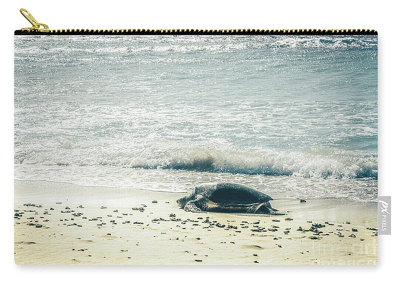 Honu Zip Pouch featuring the photograph Honu Hawaiian Sea Turtle Kihei Maui Hawaii by Sharon Mau