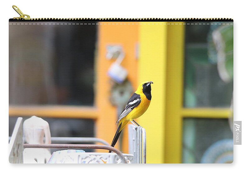Male Zip Pouch featuring the photograph Hooded Oriole by Perry Hoffman copyright twentytwenty