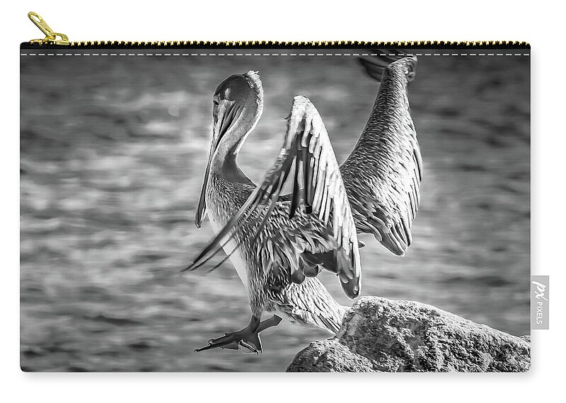 Pelican Zip Pouch featuring the photograph Hopper The Pelican by Debra Forand