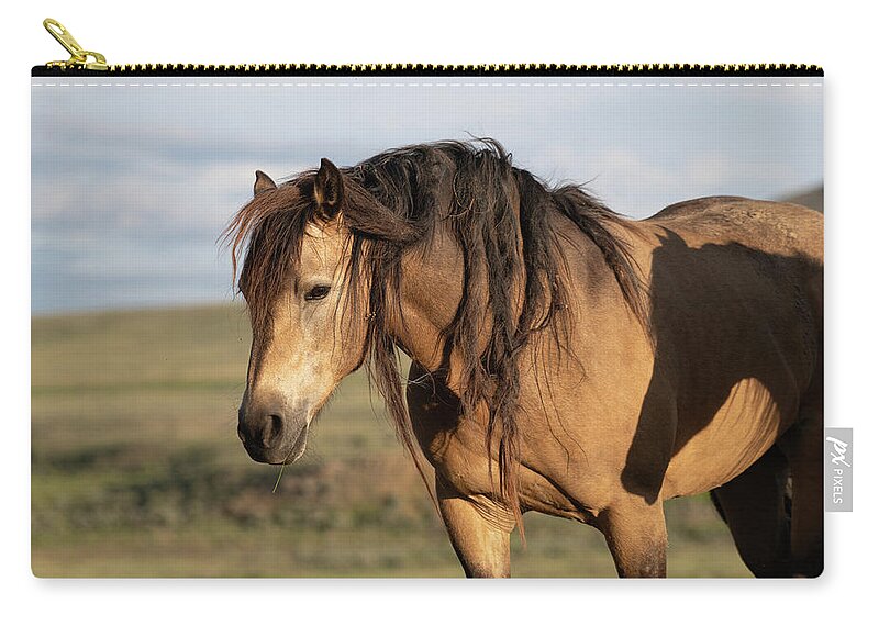Wild Horses Zip Pouch featuring the photograph Horse on Horse by Mary Hone