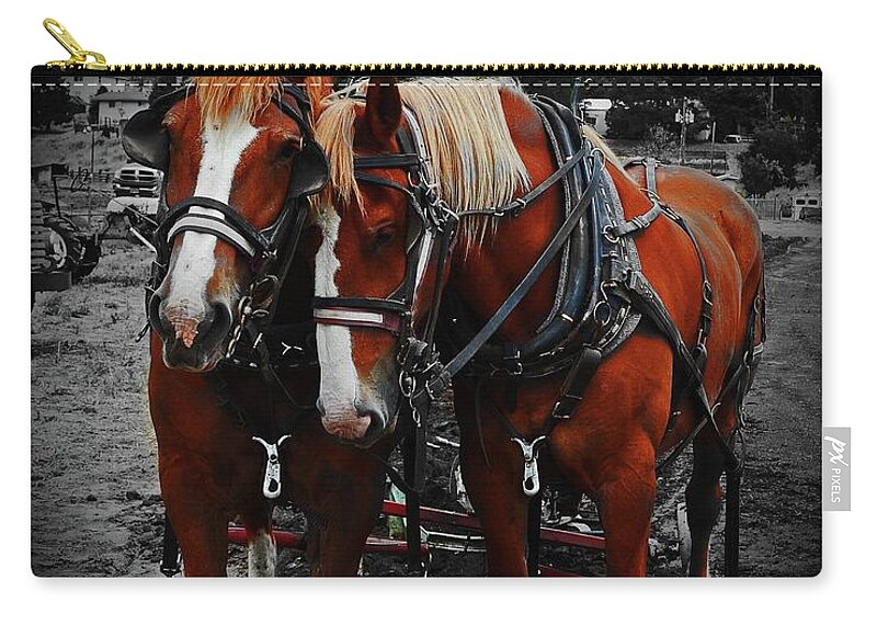 In Focus Zip Pouch featuring the digital art Horse Power by Fred Loring