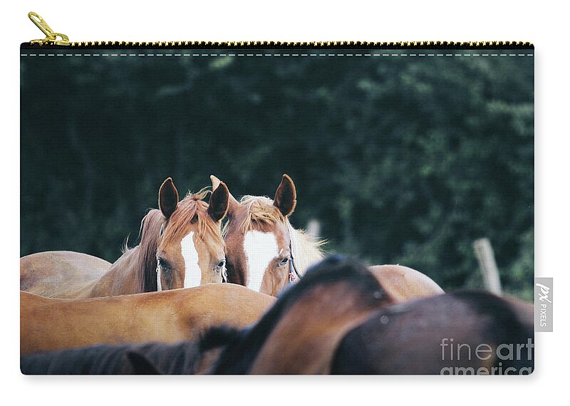 Horse Zip Pouch featuring the photograph Horses in a herd by Dimitar Hristov