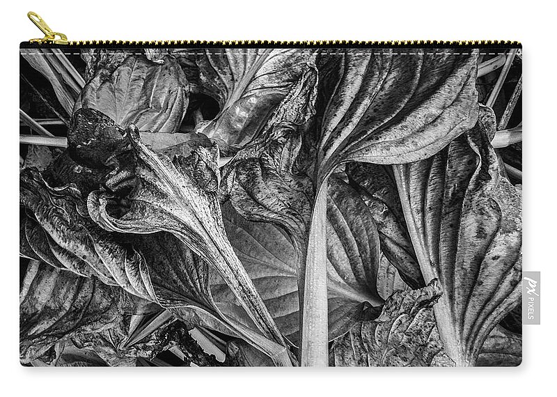 Black And White Zip Pouch featuring the photograph Hosta VI BW by David Gordon