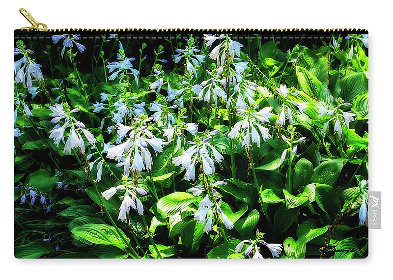Color Zip Pouch featuring the photograph Hostas in Bloom by Alan Hausenflock