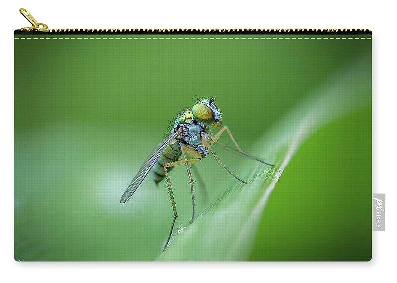 Fly Hover Green Eyes Zip Pouch featuring the photograph Hover Fly in Green by Timothy Harris