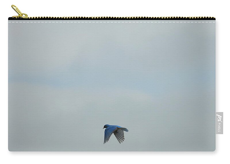 Blue Bird Zip Pouch featuring the photograph Hovering Blue Bird by Amanda R Wright