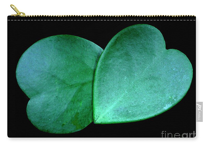 Nature Zip Pouch featuring the photograph Hoya Hearts by Mariarosa Rockefeller