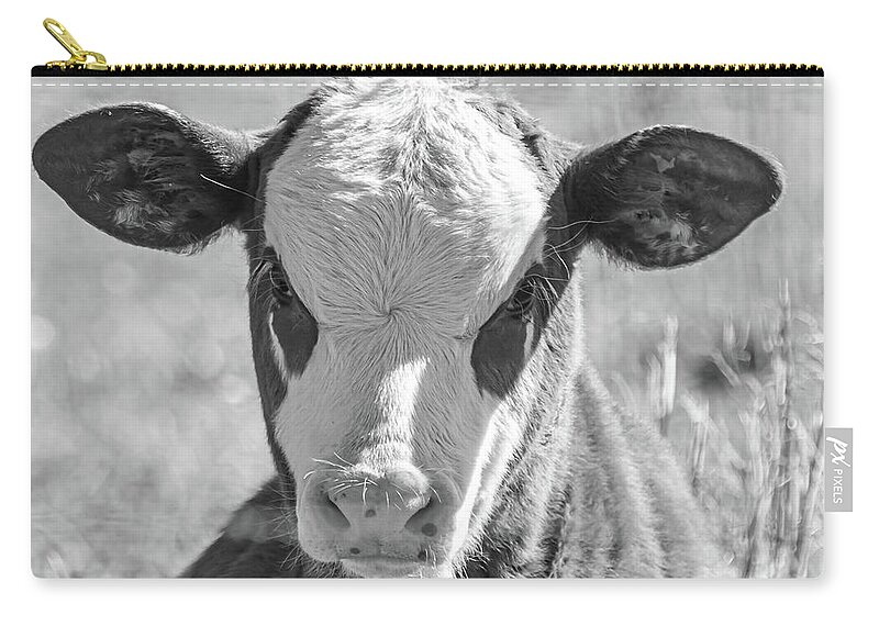 Cow Zip Pouch featuring the photograph Hugo by Jamie Tyler