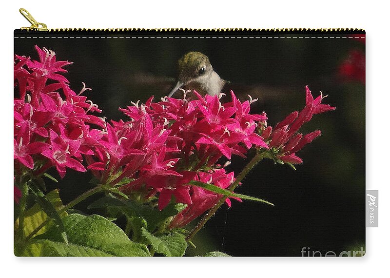 5 Star Carry-all Pouch featuring the photograph Hummers on Deck- 2-03 by Christopher Plummer