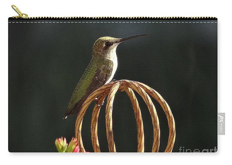 5 Star Carry-all Pouch featuring the photograph Hummers on Deck- 2-04 by Christopher Plummer