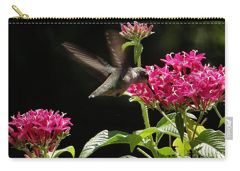 5 Star Zip Pouch featuring the photograph Hummers on Deck- 2-06 by Christopher Plummer